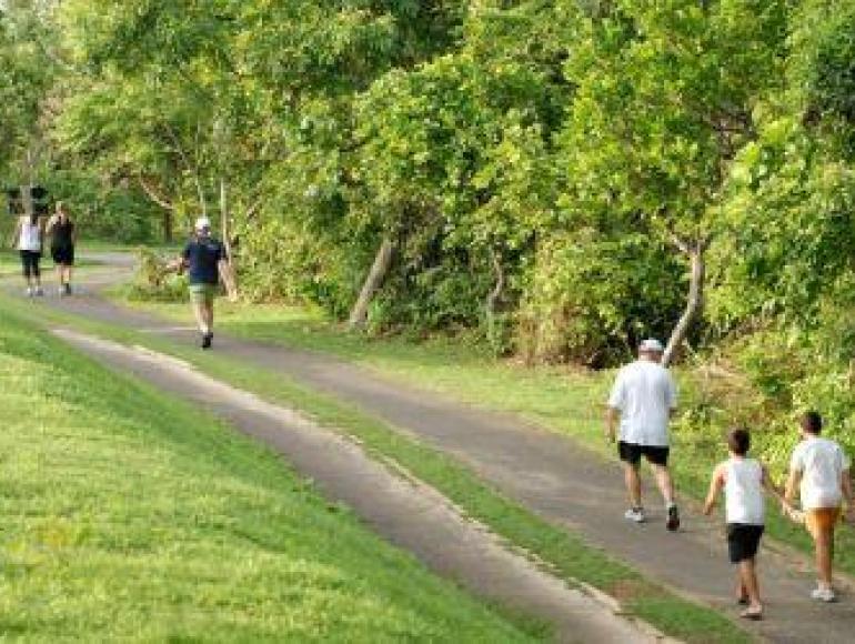 Parque Municipal da Saude - Parque Zé Bolo Flor